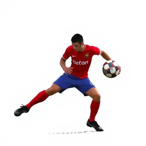 Apostas Esportivas: Transformando a Paixão em Oportunidade